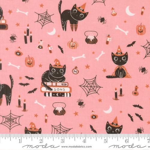 MODA PURRS & BOOS
