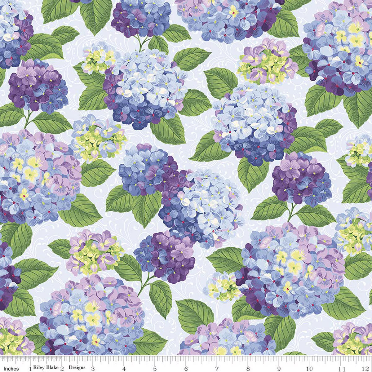 RILEY BLAKE HYDRANGEA