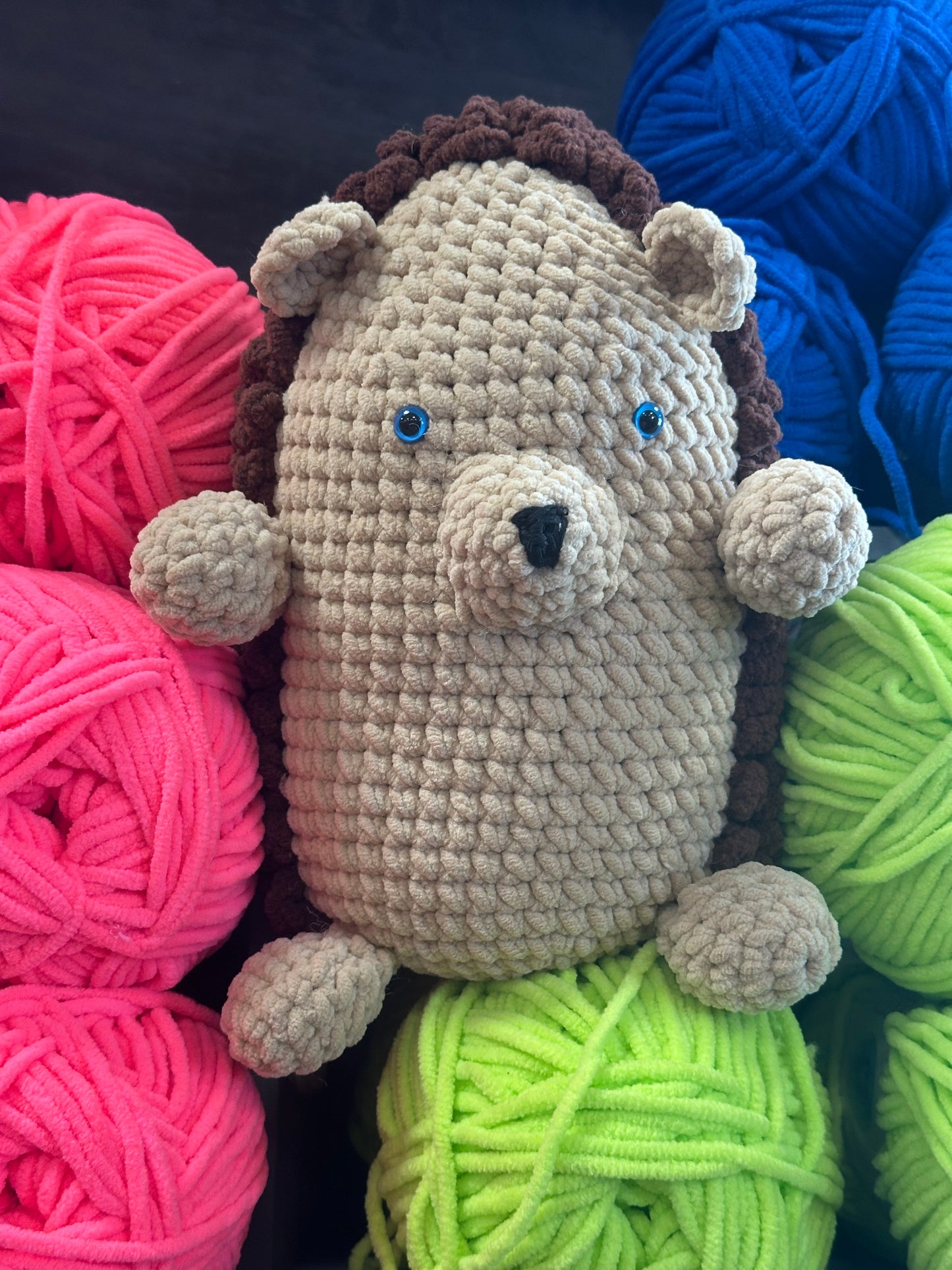 Hank the Hedgehog Crochet Kit