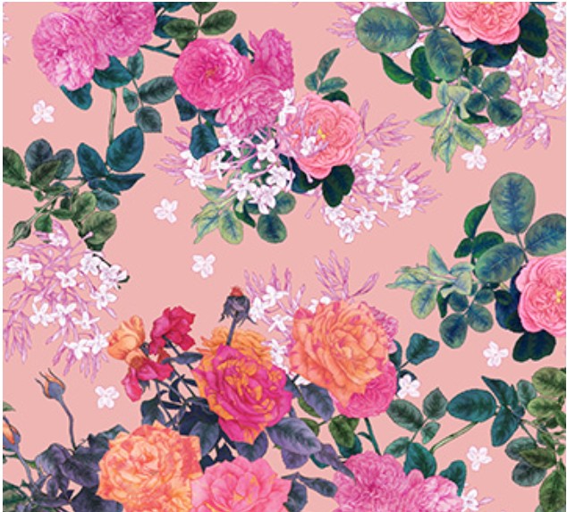 FIGO Rosa