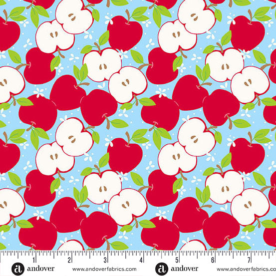 Back to School by Seek to Spring