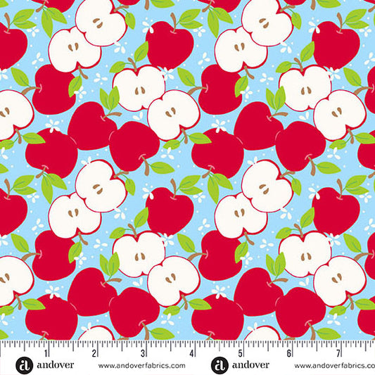 Back to School by Seek to Spring